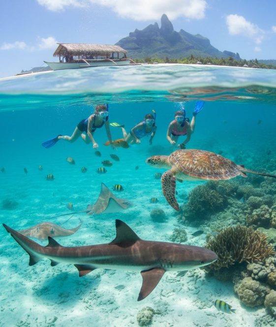 220442b381f5bc4ac34d63099fe2af86