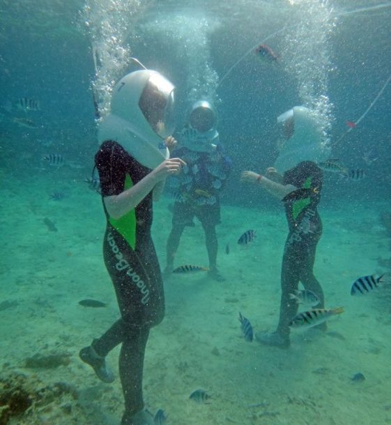 2f8d170192bd6cc0b867a447e88e5f39